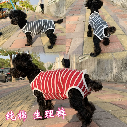 Физиологические штаны для любителей собаки Тедди менструальные брюки против харассии брюки с защитой от прятки