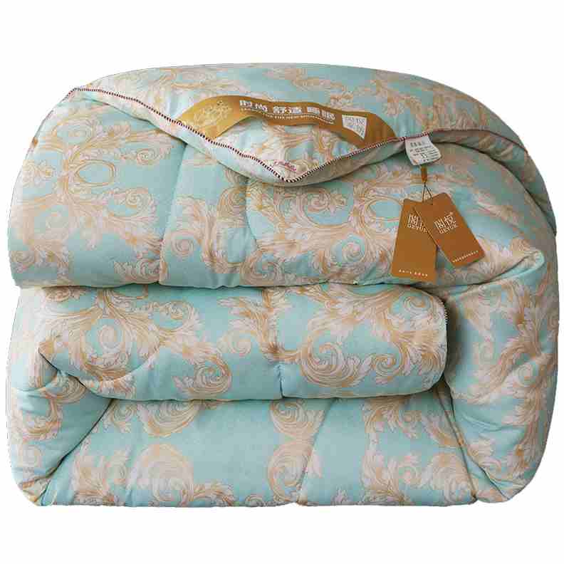 The quilt winter is heated by silk cotton core heating single student dorm double winter heated winter