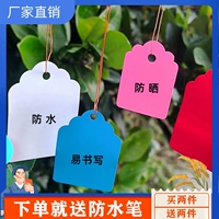 Растения деревье