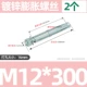 M12*300 (2)