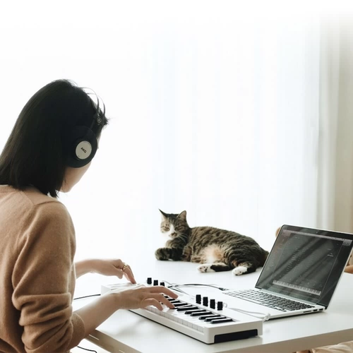 Официальная прямая эксплуатация ｜ Arturia V Collection 7/8/9 выключает полный набор моделируемых синтезатор