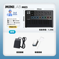 New Minilab Mk3 Black+Pedal+Wire