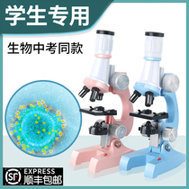 Microscopy Elementary School Students Professional Optics 10000 Times Home Children Science Junior High School Biology Experimental Toy Suit