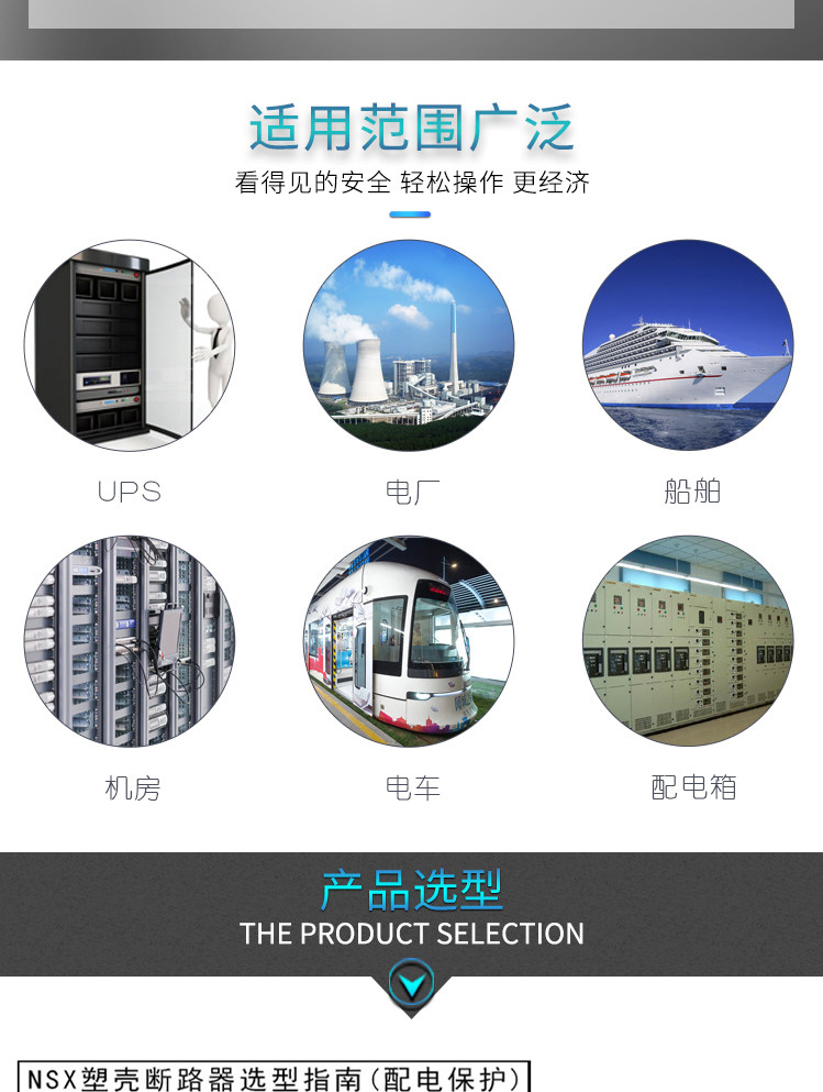 Schneider Molded Case Circuit Breaker NSX100N NSX630N - Product image 8