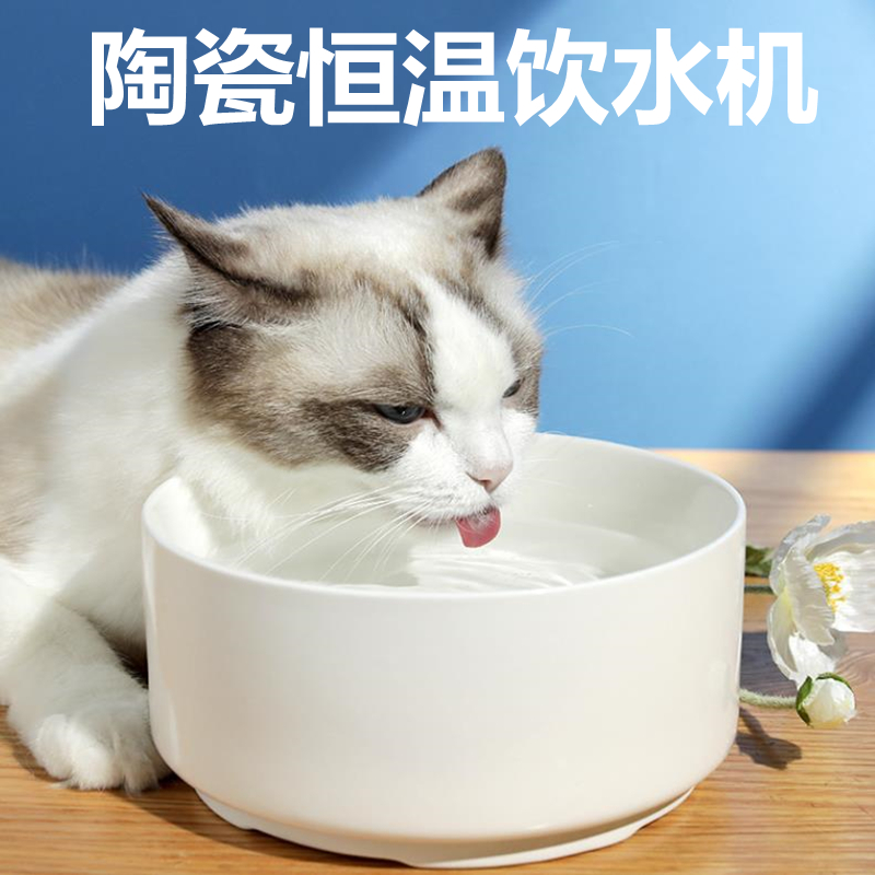 Cat constant temperature drinking bowl feeding heating water dispenser does not wet mouth cat and dog ceramic bowl electric heating winter pet bowl