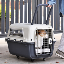 Pet flight box for dogs and cats portable checked box for outings large dog cage small dog medium and large cat bag