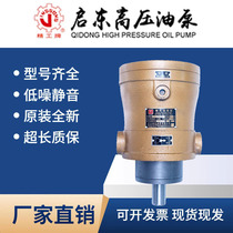 Qidong high pressure oil pump Seiko brand 2 5 5 10 25 40 63 80 160 250MCY14-1B plunger pump