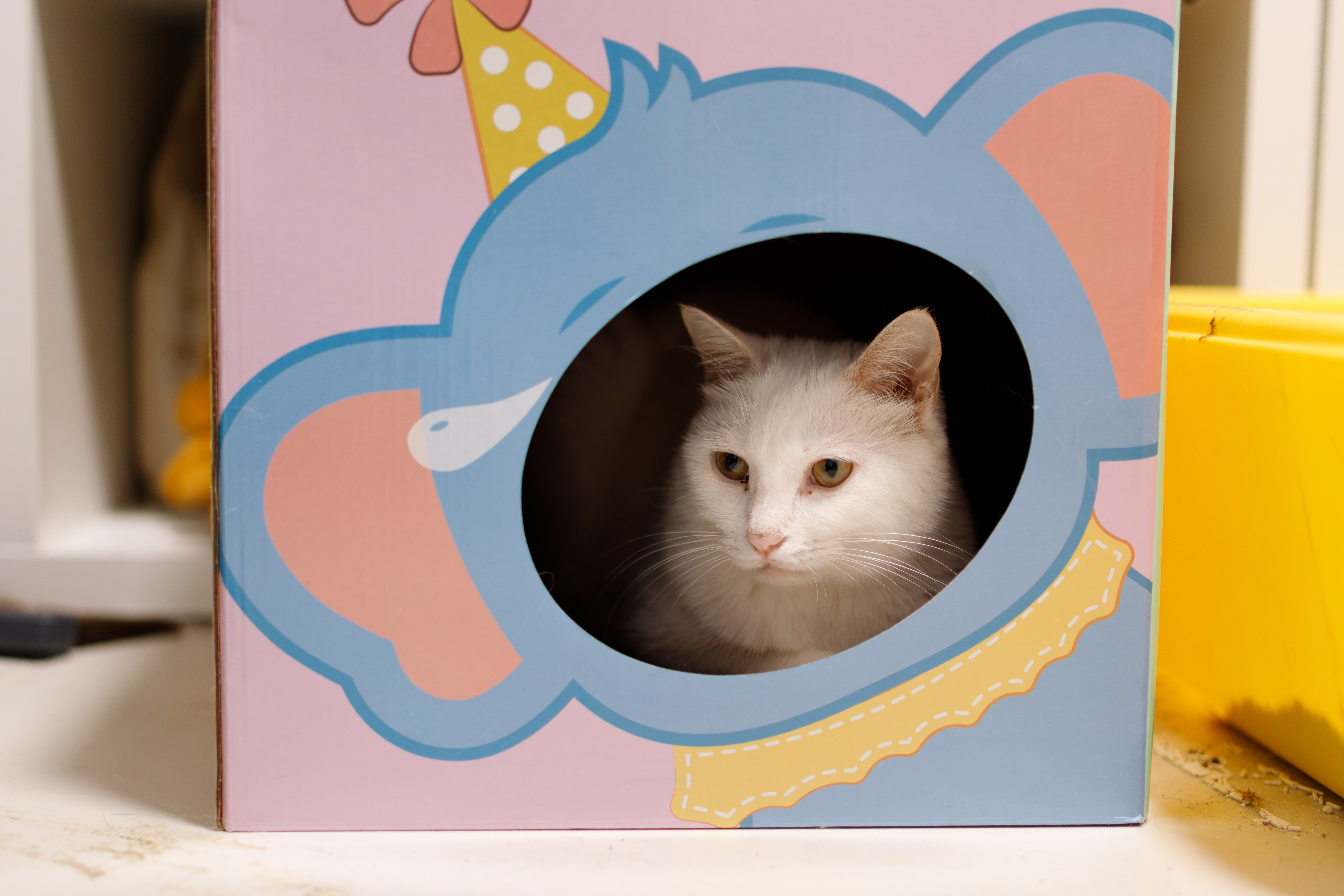 猫来好物的LOGO
