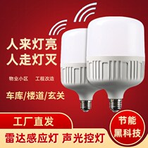 Bull Radar Induction Lights Sound And Light Control Lamp Infrared Human Sensing Bulb Cell Home Floor Corridor Garage LE