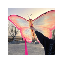 Flying Butterfly Kite Childrens Breeze Easy-Fly Long Streamer Couple Kite High-end Adults Only 2024 New Style