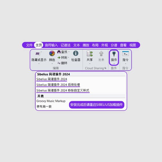 Sibelius Sibelius 단순화된 악보 플러그인 2023 중국어 버전의 중국어 버전을 단순화된 악보로 Win 또는 Mac 정품
