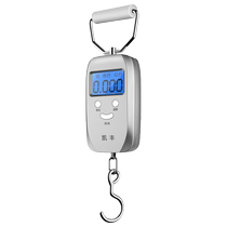 Mini portable electronic scale 50kg portable high-precision home express scale small scale spring small handheld 2206