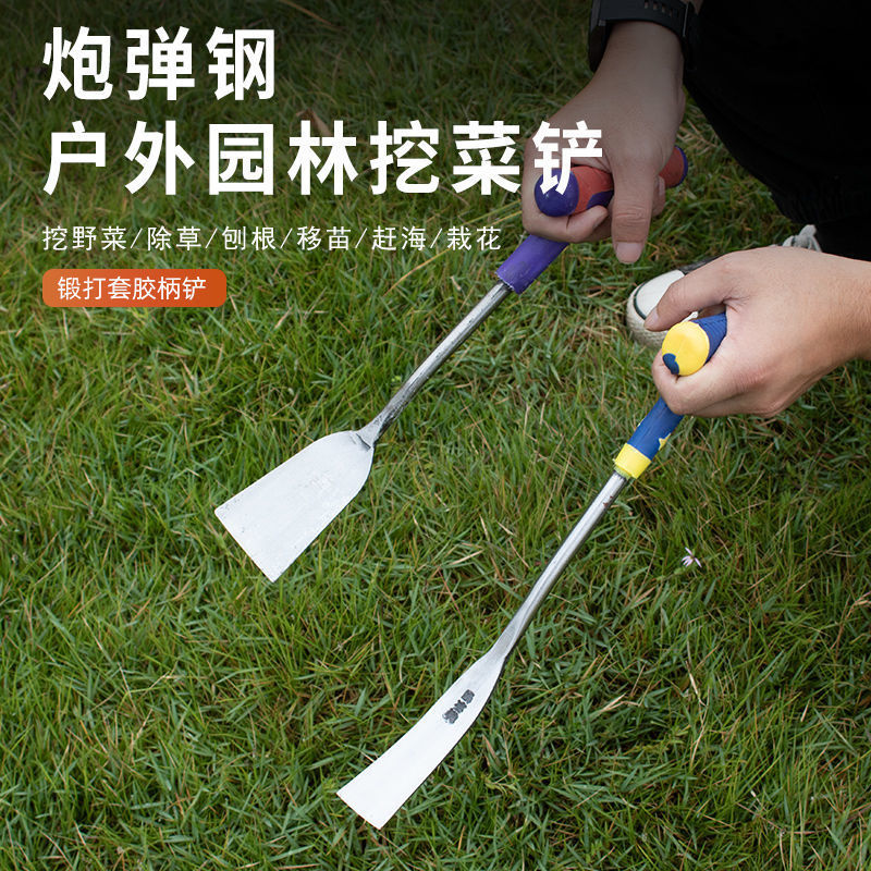 Garlic and garlic shovel for garlic garden garden garden garden garden