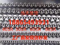 08BSR50SR60SR ​​parallel double side roller chain cross hound roller chain nylon stainless steel roller