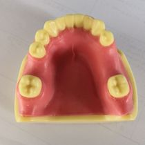 Oral implant practice model-PIM-30 implant practice suturing practice bone hardness category 1-4