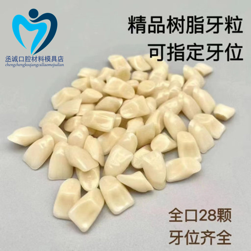 牙科树脂散牙粒 前牙 后牙混装技工练习排牙模型加工厂用口腔齿科