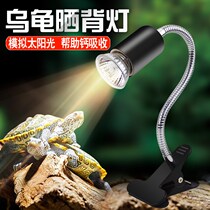 Turtle Sunburn Back Light Turtle Bulb Warming Up and Climbing Uva Heating Uvb Heating Uvb Heating Insulation Pets Thermostatic Warm Light