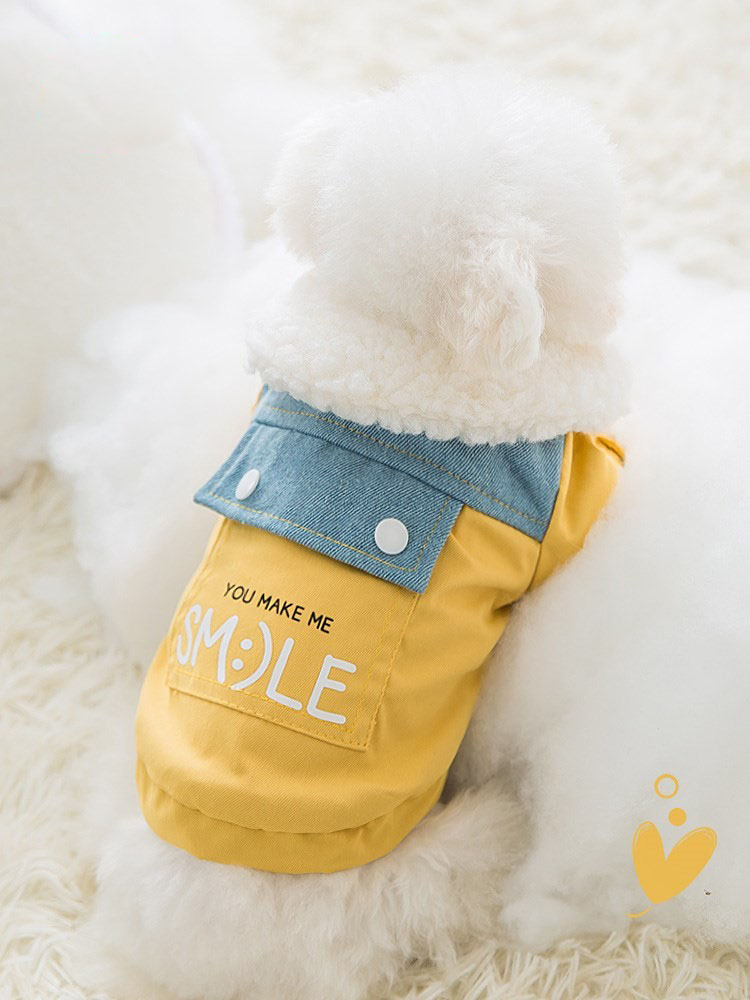 Teddy Small Dogs Autumn Winter Clothing Midsize Small Dogs Big-bear Pets Winter Thickened Snowneri Winter Style Clothes Cotton Clothes