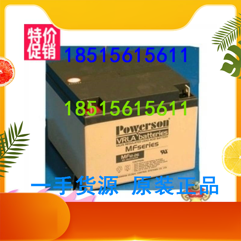 Shanghai Fuhua Protector Battery 12V38AH POWERSON MF12-38 Maintenance-free