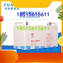 Tang shallow 12V100AH battery NP100-12 DC screen EPS special battery lead-acid maintenance-free UPS power supply