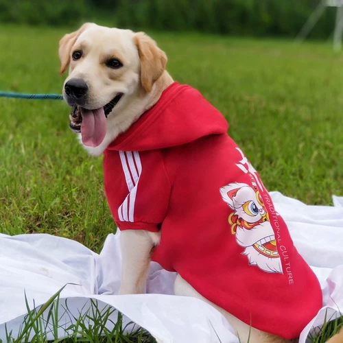 Большая собачья одежда осень и зимний лабрадор золотой хлопок среднего размера большие собаки зимние питомцы зимняя одежда зимняя одежда