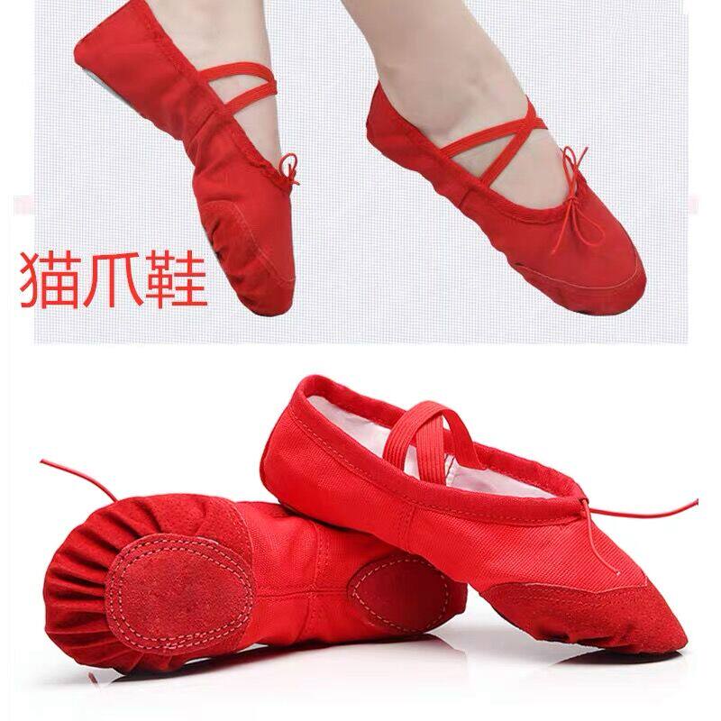 Children's dance shoes, women's soft bottom practice dance, skin color boy, summer child, cat claw body, Chinese ballet adult