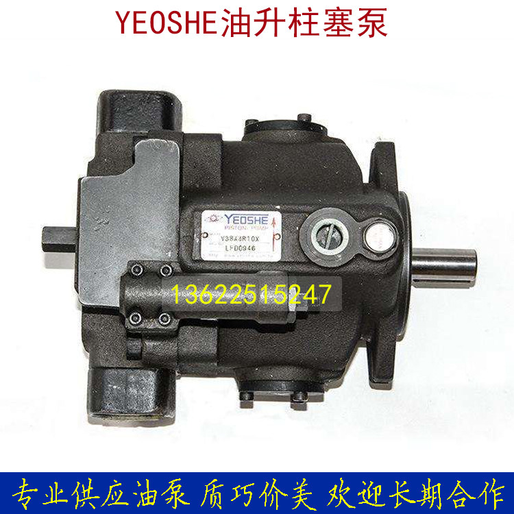 Taiwan import plunger high and low pressure oil pump V38A3R-10x plastic forming oil pump V38SAJS-AR-95