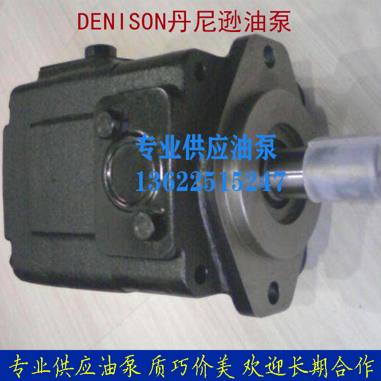 Imported Denison DENNSON high-pressure vane pump injection moulding die casting machine hydraulic oil pump T6D-050-2R00-C1