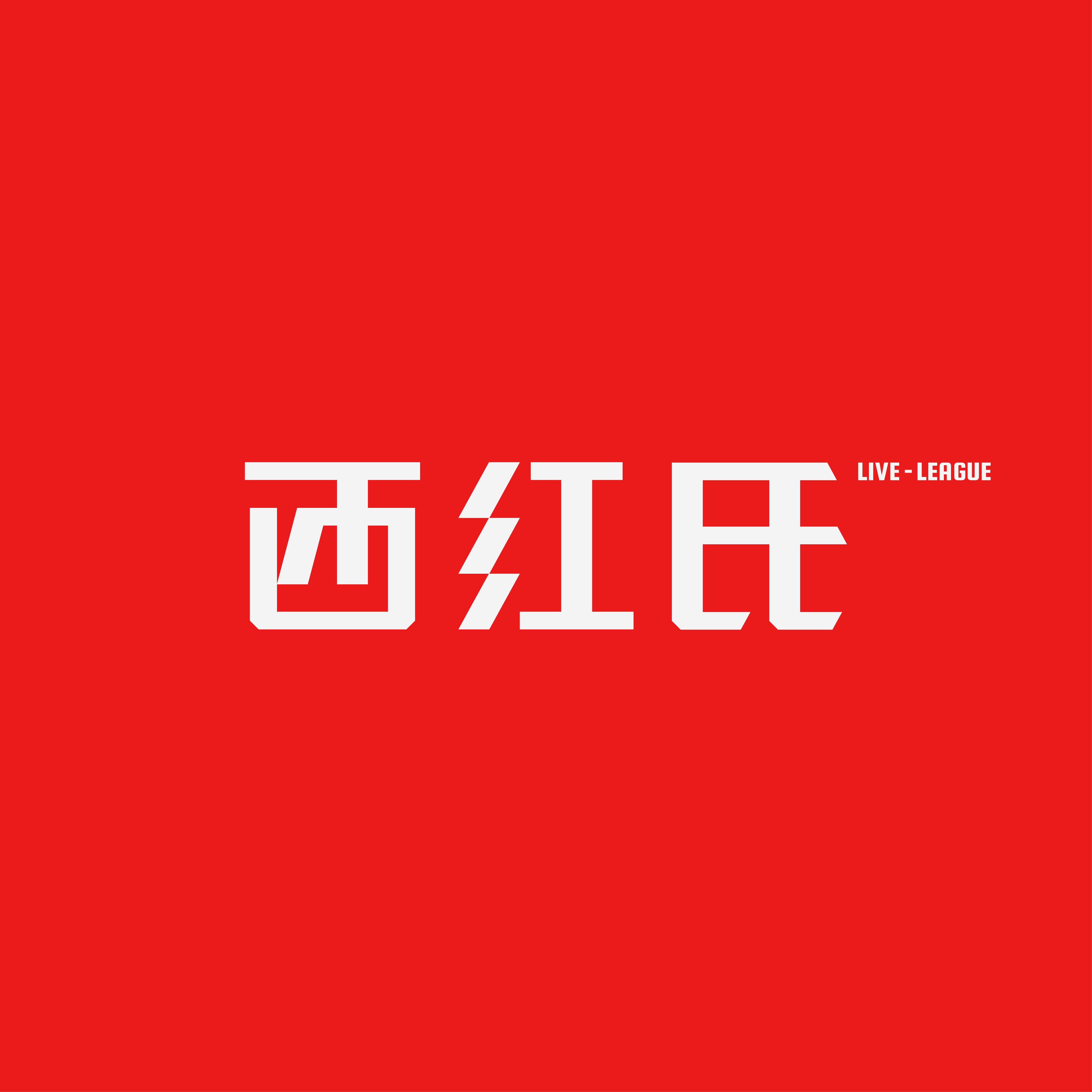 西红氏女鞋
