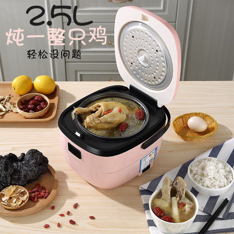 Mini Electronic Pan 2 Persons 2 5 Liters Small Household Multifunction 1 2L Fully Automatic Smart Electric Cooker Dormitory Single