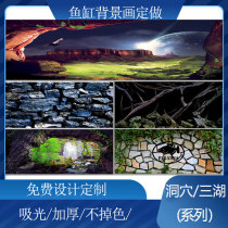Fish tank background paper painting sticker high-definition three-dimensional 3D picture customized arowana tropical fish cave aquarium landscaping recommendation