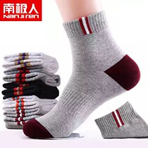 South Pole Deodorant Sports Socks Autumn Winter Season Men Socks Sweat and Ventilate Deodorant Midbarrel Socks Collage Shorts