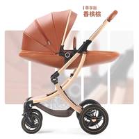 Наслаждение изданием-Champagne Brown