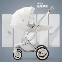 Наслаждение изданием-Мандалаба