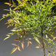 Simulated green plants, Nordic style bionic green plants, Nandina bamboo potted plants, indoor window display, floor-to-ceiling landscaping, decorative green plants