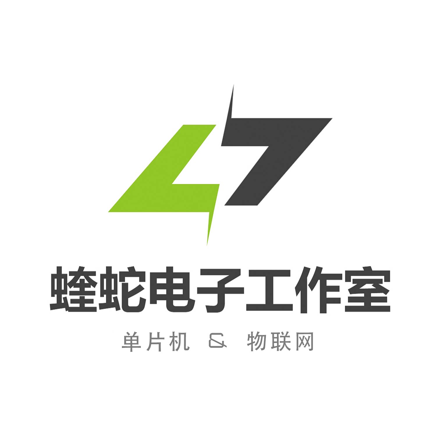 蝰蛇电子工作室