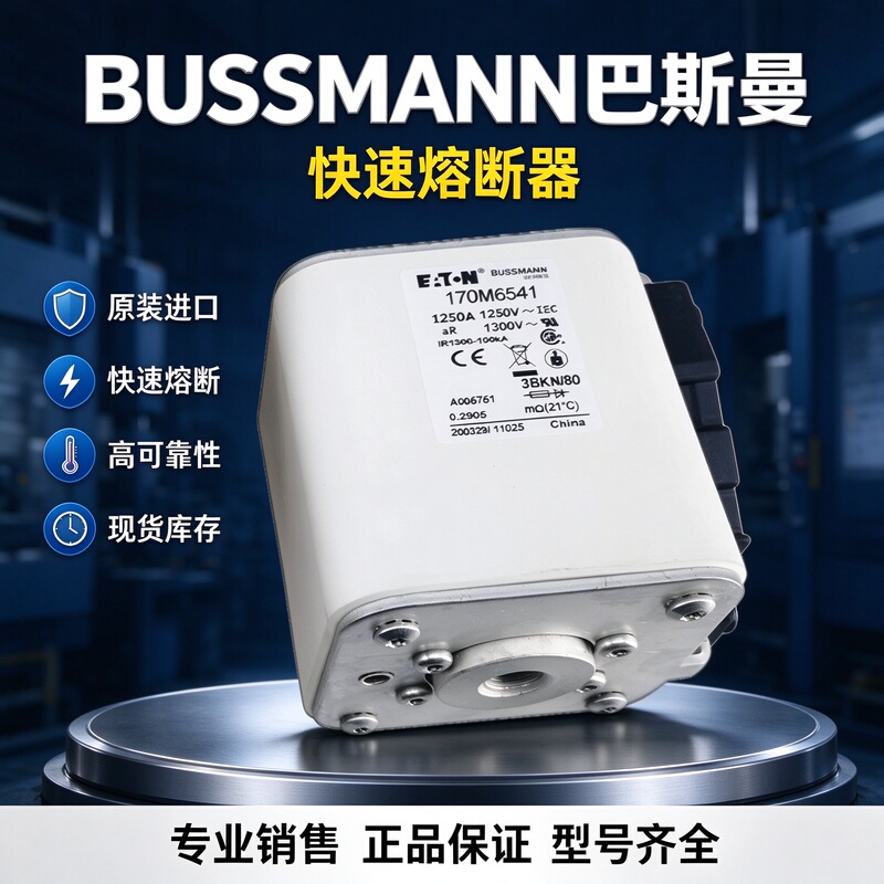170m6540 Bussmann Fuse 170m3243 170m6367 170m1569