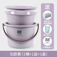 Куман Медведь толсто-нулевой фиолетовый [дайте коробку+стиральную чашку]