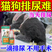 (Guarantee) Urinary Tract Infection Medicine for Cats