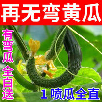 Cucumber special-purpose straightened and increased melon spirit elongated dipped flower leaf surface fertilizer medicine loofah bitter gourd increased production and increased thickening agent expansion factor