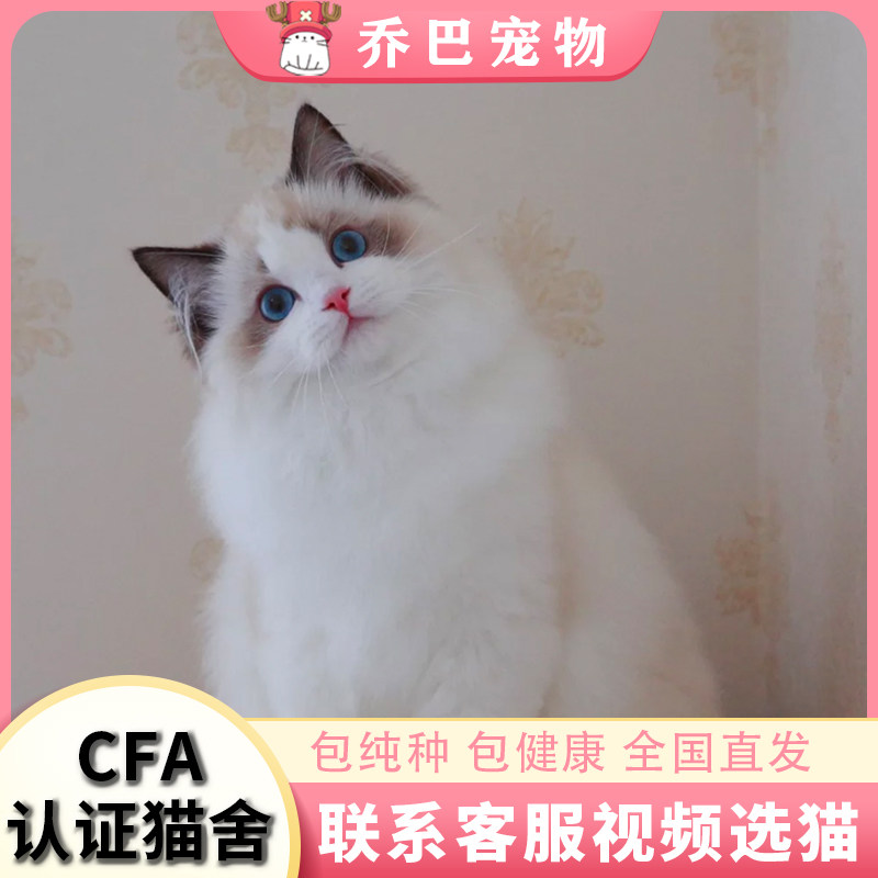 Personality Customized 1