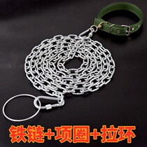 Wise Letter Dog Chain Neckline Collar lock Large small and medium Mound Teddy Labrador Anti-biting Chained Dog Chain Iron Chain