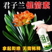Clivia flower nurturing spirit Clivia aphrodisiac special nutrient solution Clivia no-dilution liquid to promote flowers and arrows