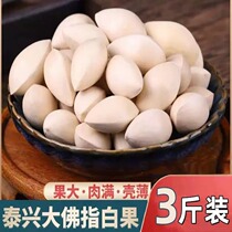 New fruit extra-large white fruit fresh white fruit Taixing gingko fruit with shell raw and unbleached 3 catties