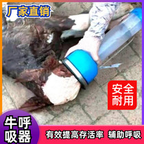 Calf respirator imported cow midwifery cow with calf respirator under the cow midwifery cow with cow midwifery device