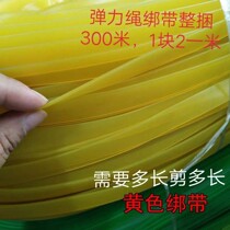 Tarpaulin high-elastic binding rope leather tendon strapping elastic rope cargo belt luggage elastic rope elastic rope express pull