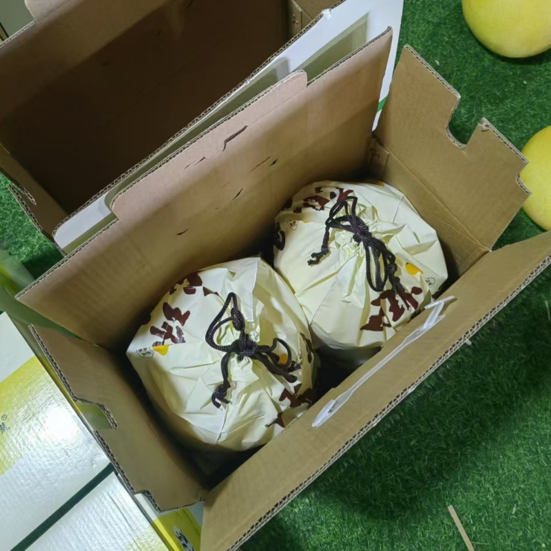 玉环文旦柚子：来自台州楚门的柑橘界新星