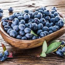 Jiawo blueberry fresh fruit fresh box of large fruit wild plum fruit 500g seasonal whole box non-12 boxes