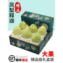 Taiwan big-eye pineapple custard apple 5 pounds fresh custard apple Buddha head fruit large fruit pregnant women 10 SF