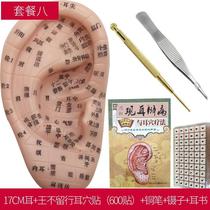 Wang does not leave ear stickers with ear caves with probe pressing bean acupressure point ear model reflection area mold temples acupuncture pedestrian beans